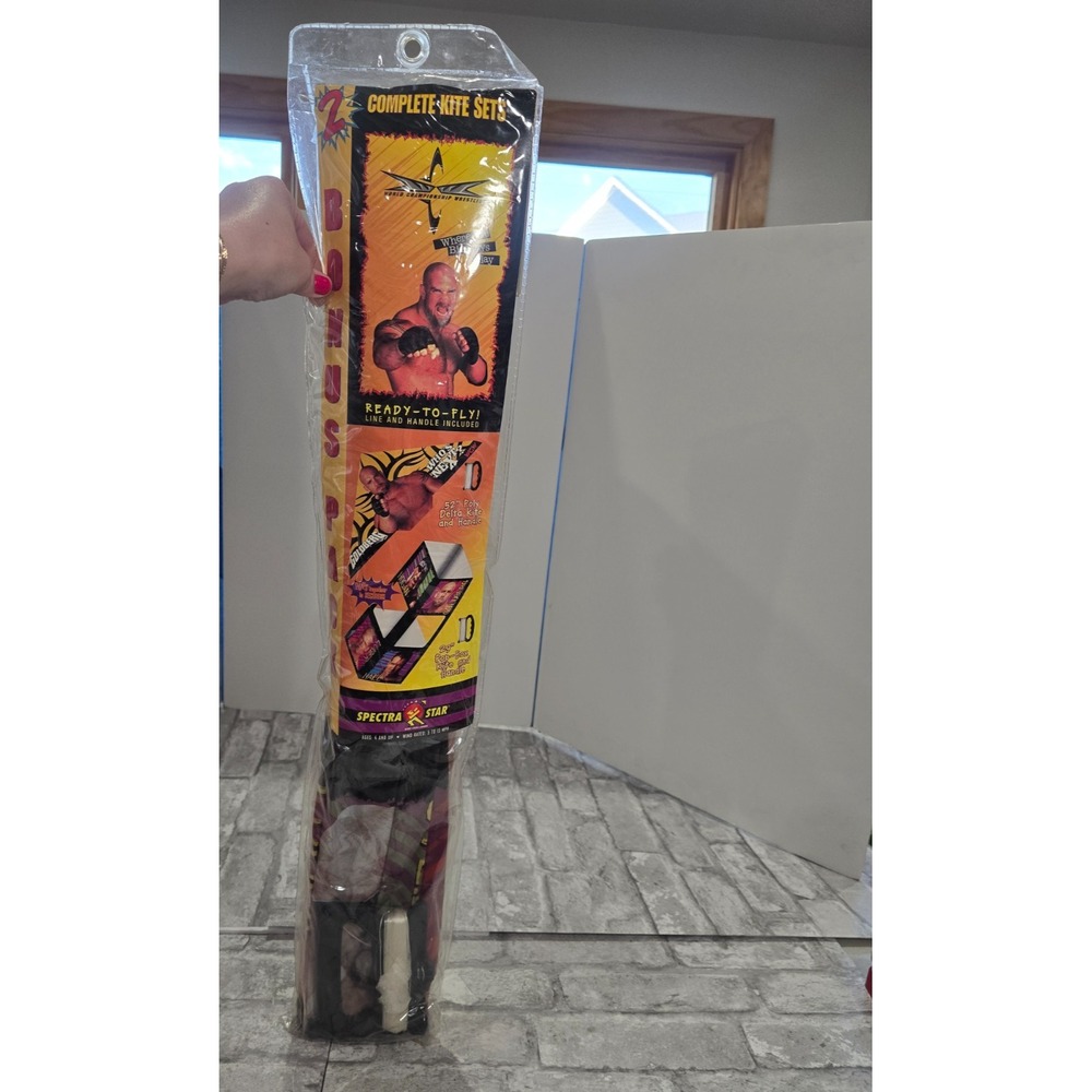Vtg 90s WCW Marvel Spectra Star Pop Box Kite 29" Retro Wrestling Goldberg NOS